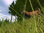 Hunting Unlimited 4 screenshot